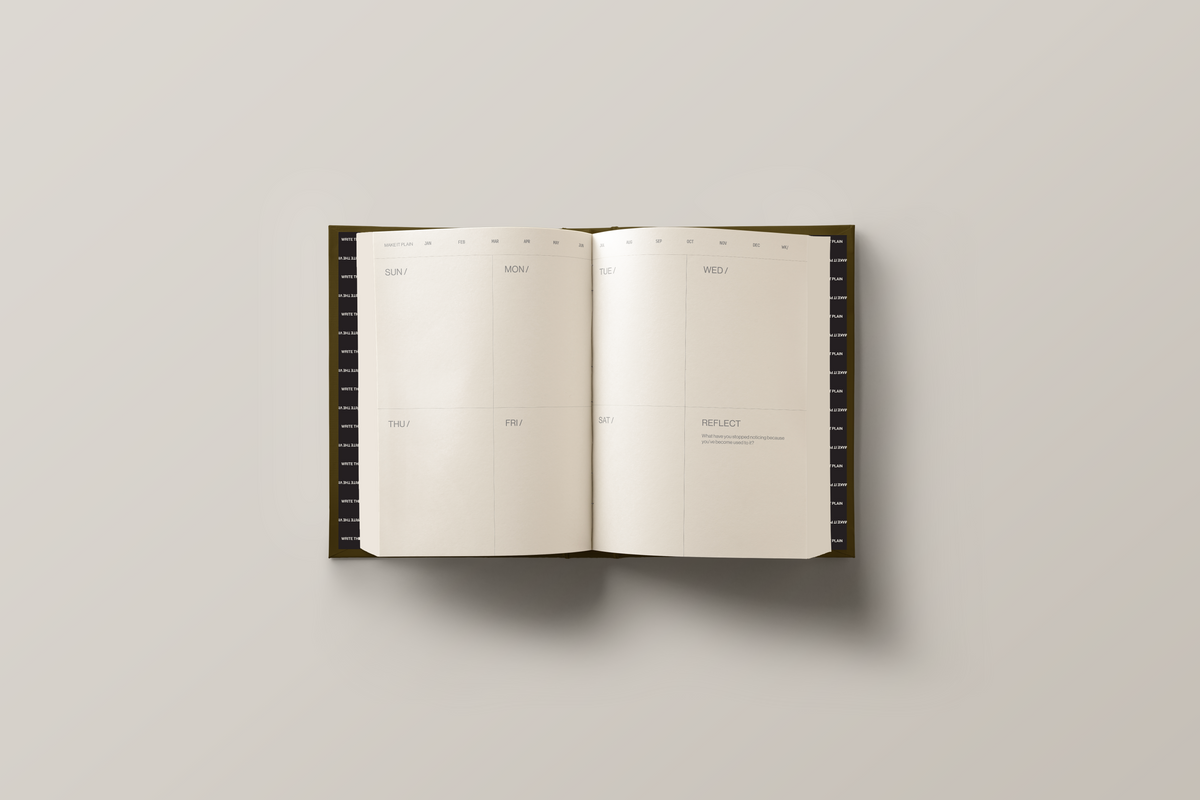 Weekly Archive / Olive - Preorder